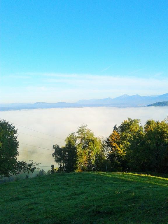 Pri Lazarju Farm Stay Podgrad  Εξωτερικό φωτογραφία
